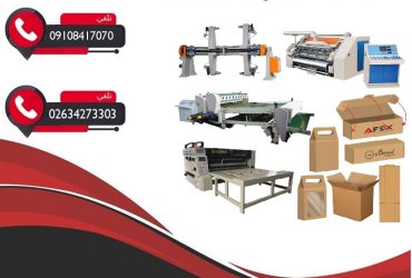 کارتن سازی فوری یک روزه