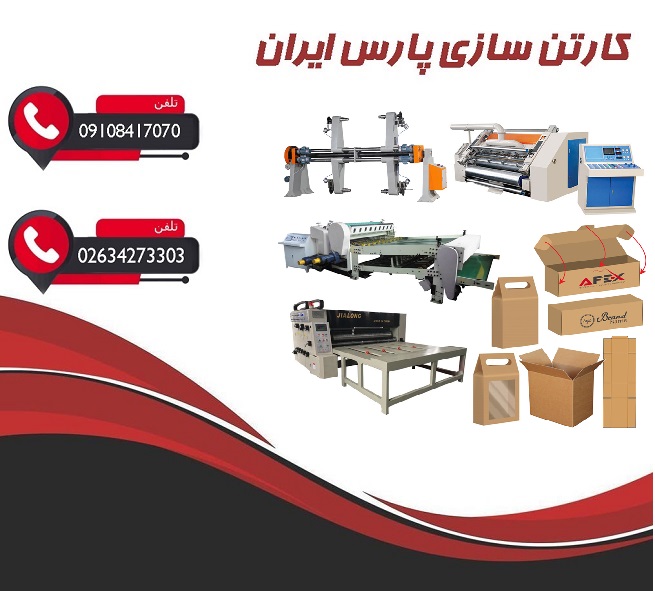 کارتن سازی فوری یک روزه