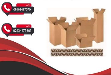 کارتن سازی با طراحی رایگان
