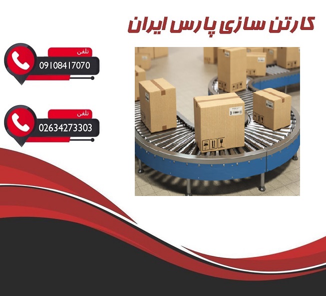 کارتن سازی سفارشی برای استارتاپها